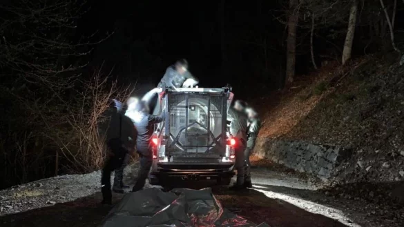 Mitarbeiter des Trentiner Forstkorps bereiten den Transport der B&auml;rin JJ4, die in der Nacht mit Hilfe einer gro&szlig;en Rohrfalle gefasst worden war. - &copy; -/Provinzregierung Trentino/dpa