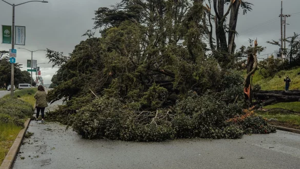 In San Francisco sind laut Behörden über 700 Bäume umgestürzt oder beschädigt worden. - © Chin Hei Leung/SOPA Images via ZUMA Press Wire/dpa