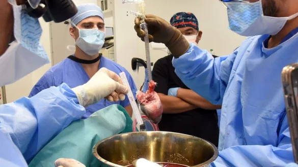 Chirurgen an der Uniklinik in Baltimore bereiten sich auf die Schweineherz-Transplantation vor. Es ist der weltweit zweite Eingriff dieser Art. - &copy; Mark Teske/University of Maryland School of Medicine/dpa