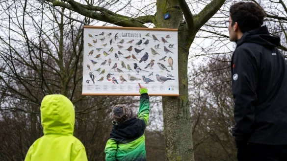Ein Mitarbeiter vom Naturschutzbund NABU zeigt zwei Kindern die verschiedenen Vogelarten, die in Deutschland zu finden sind. - &copy; Christophe Gateau/dpa