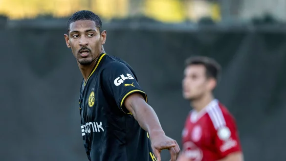 Dortmunds Sebastien Haller gibt Anweisungen. - &copy; David Inderlied/dpa