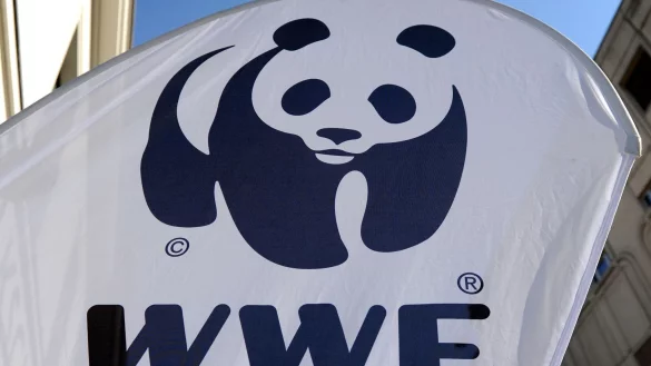 Die Umweltschutzorganisation WWF alarmiert wegen illegaler Fischerei. - &copy; Jens Kalaene/ZB/dpa