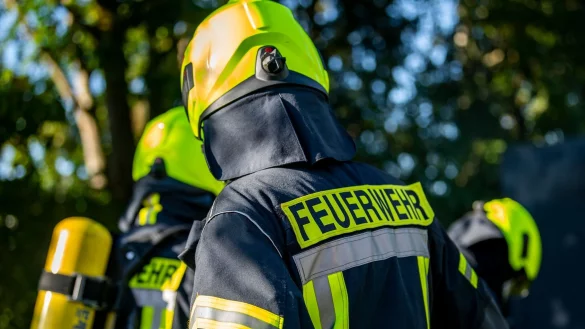 Feuerwehrleute stehen zusammen, um den Einsatz zu besprechen. - &copy; David Inderlied/dpa/Symbolbild