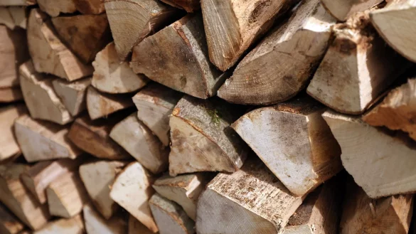 Rund 1,1 Millionen Haushalte in Deutschland nutzen Scheitholz, Holzpellets oder Holzhackschnitzel in Heizkesseln als primäre Energiequelle zum Heizen des kompletten Wohnraums. - © Bernd Wüstneck/dpa