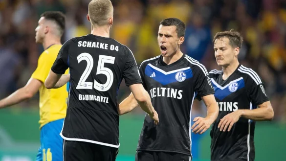 Schalkes Ron Schallenberg (M) jubelt mit Schalkes Timo Baumgartl (l) und Schalkes Cedric Brunner nach dem Schlusspfiff. - &copy; Swen Pf&ouml;rtner/dpa