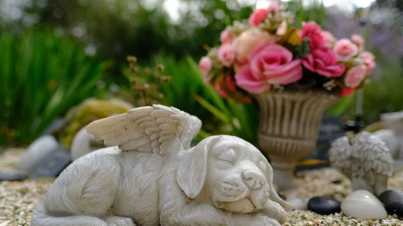 Auf Tierfriedh&ouml;fen k&ouml;nnen Trauernde, die keinen Garten haben, ihre Tiere beisetzen. - &copy; Markus Hibbeler/dpa-tmn