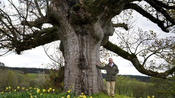 König Charles III. bedankt sich für die Beteiligung an der Initiative namens «Queen\\\'s Green Canopy» (QGC). - © Andrew Milligan/PA Wire/dpa