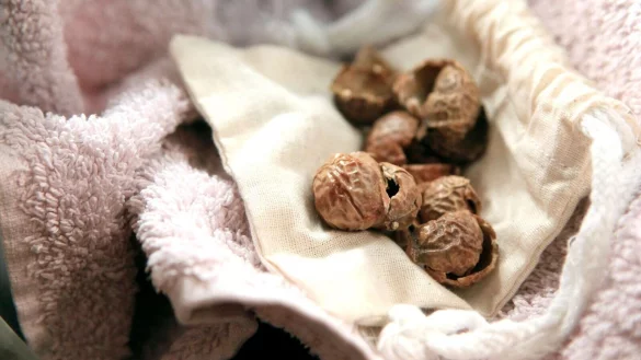 Waschn&uuml;sse enthalten Substanzen, die unter Zugabe von Wasser sch&auml;umen. Daher lassen sie sich auch alternativ zu &uuml;blichen Waschmitteln verwenden. - &copy; Bodo Marks/dpa-tmn