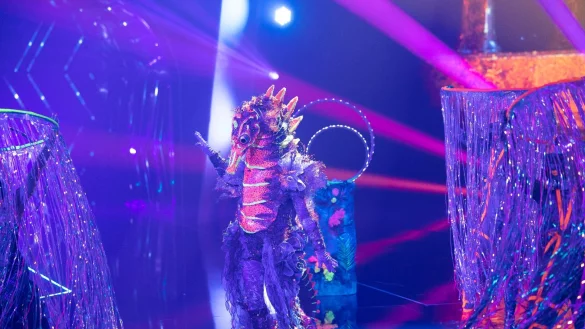«Das Seepferdchen» steht in der ProSieben-Show «The Masked Singer» auf der Bühne. (Aufnahme vom 08.04.2023) - © Thomas Banneyer/dpa