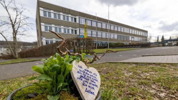 Vor der Schule wurde eine Pflanze zum Gedenken abgestellt. - &copy; Christoph Reichwein/dpa/Archivbild