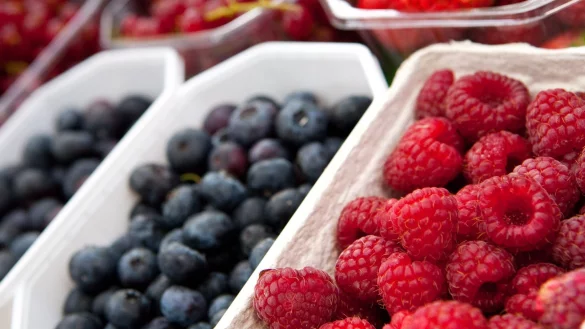 Enthalten unter anderem Vitamin C: Heidelbeeren und Himbeeren sollten beim Kauf in der Schale schön prall sein. Zu Hause lagert man sie flach drapiert und kühl. - © Kai Remmers/dpa-tmn