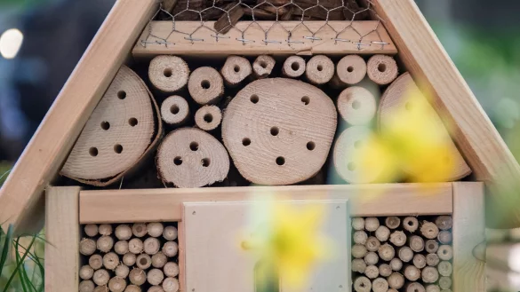 Sind die L&ouml;cher eines Insektenhotels im Stirnholz, k&ouml;nnen die Bohrungen ausfransen. - &copy; Robert G&uuml;nther/dpa-tmn