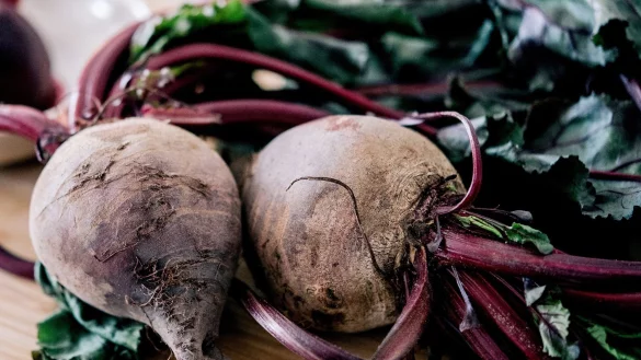 Ob im Gem&uuml;sebeet oder in T&ouml;pfen auf dem Balkon: Rote Bete l&auml;sst sich unkompliziert und ohne gro&szlig;es G&auml;rtnerwissen anbauen. - &copy; Zacharie Scheurer/dpa-tmn