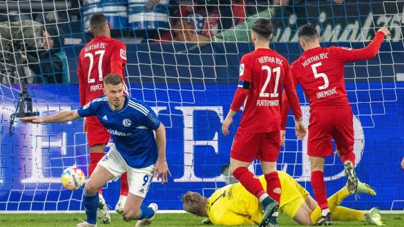 Schalkes Simon Terodde (2.v.l) nach seinem Tor zum 3:1. - &copy; David Inderlied/dpa