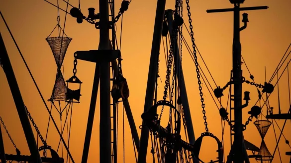 In der EU sollen die Vorgaben gegen umweltsch&auml;dliche &Uuml;berfischung besser kontrolliert werden. - &copy; Sina Schuldt/dpa