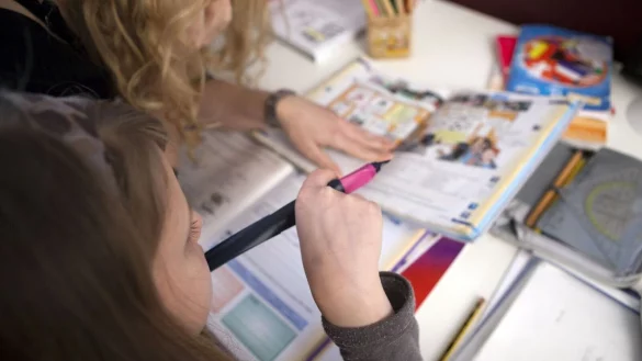 Auch Sch&uuml;ler mit relativ guten Noten setzen auf Nachhilfe, um noch besser zu werden. - &copy; Silvia Marks/dpa-tmn