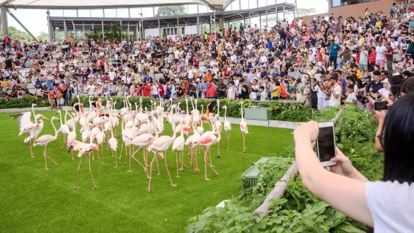 Das Sky-Amphitheater im Vogelpark &laquo;Bird Paradise&raquo; mit 2.000 Pl&auml;tzen war bei der Vogelpr&auml;sentation &laquo;Wings of the World&raquo; gut gef&uuml;llt. - &copy; ---/Mandai Wildlife Group/dpa