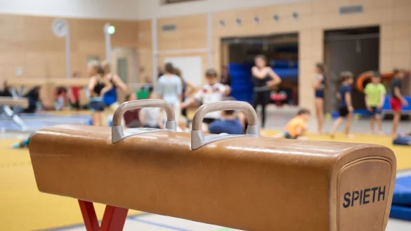 Ein Pauschenpferd steht w&auml;hrend des Sportunterrichts in der Sporthalle einer Grundschule. - &copy; Sebastian Kahnert/dpa