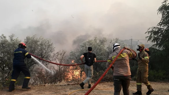 Feuerwehrleute und Freiwillige versuchen, einen Brand bei Nea Anchialos zu l&ouml;schen. - &copy; Tatiana Bolari/Eurokinissi/AP/dpa