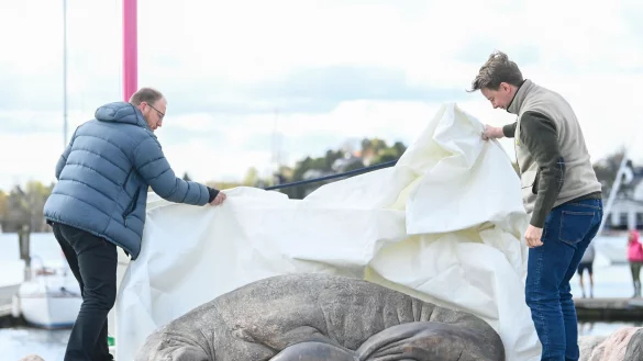 Die Skulptur der K&uuml;nstlerin Tonoian zum Gedenken an das Walross Freya wird von Walross-Experte Rune Aae (l) und Initiator Erik Holm in der Kongen Marina enth&uuml;llt. - &copy; Annika Byrde/NTB/dpa