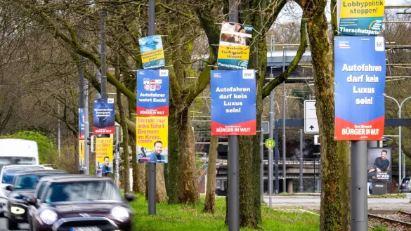 Wahlplakate verschiedener Parteien h&auml;ngen am Stra&szlig;enrand. - &copy; Sina Schuldt/dpa