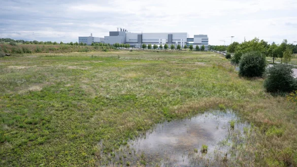 Geplanter Standort im Dresdner Norden, im Hintergrund ist die Halbleiterfabrik von Bosch zu sehen. - &copy; Sebastian Kahnert/dpa