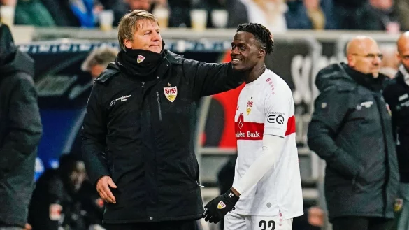 Stuttgarts Naouirou Ahamada verl&auml;sst nach der gelb-roten Karte das Spielfeld. - &copy; Uwe Anspach/dpa