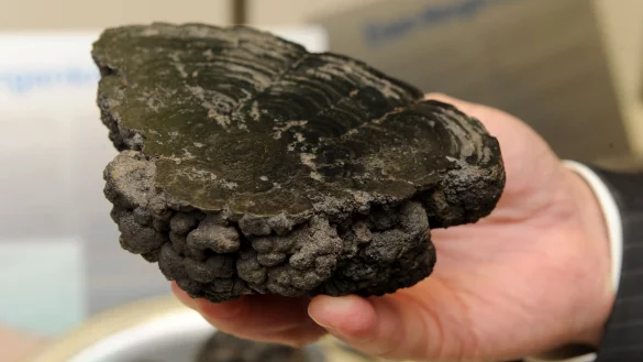 Manganknollen entstehen in in 4000 bis 6000 Metern Tiefe. - &copy; picture alliance / dpa