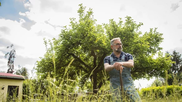 Umgraben muss man den Garten nicht, um herauszufinden, welche Bodenart man &laquo;beackert&raquo;. Wissen sollte man es schon. - &copy; Christin Klose/dpa-tmn