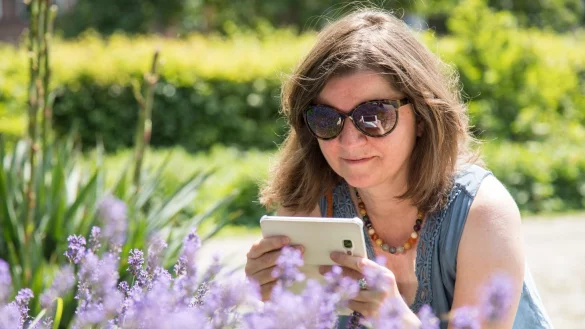 Klar, das ist Lavendel: Aber welcher genau? - &copy; Christin Klose/dpa-tmn