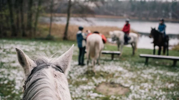 Ein geteiltes Pferd bedeutet halbe Kosten, aber daf&uuml;r oft doppelten Stress. - &copy; Marie Von Der Tann/dpa-tmn
