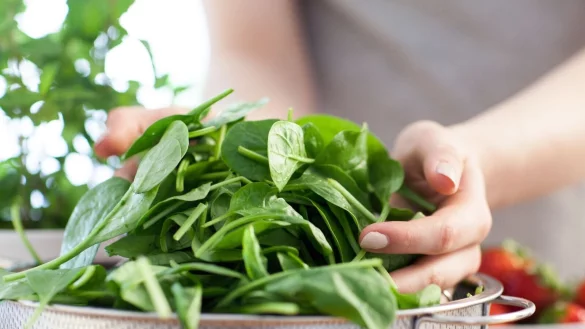 Spinat h&auml;lt sich im Folienbeutel 1 bis 2 Tage im K&uuml;hlschrank. - &copy; Christin Klose/dpa-tmn
