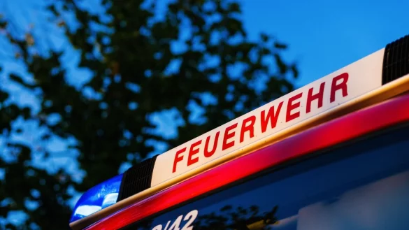 Das Blaulicht leuchtet auf dem Dach eines Einsatzfahrzeugs der Feuerwehr. - &copy; Philipp von Ditfurth/dpa/Symbolbild