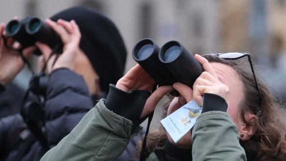 Teilnehmer einer Vogelz&auml;hlung blicken in einem Park durch Ferngl&auml;ser. Weniger gesichtete V&ouml;gel und auch wenig Beteiligung tr&uuml;ben die Auswertung des Nabu. - &copy; Sebastian Willnow/dpa
