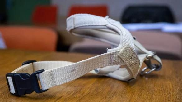 Wird im Prozess vor dem Landgericht gezeigt: die Maulschlaufe eines Hundes. - &copy; Sven Hoppe/dpa