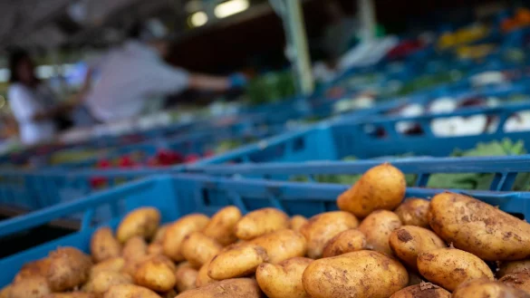 B&uuml;rgerinnen und B&uuml;rger sollen Vorschl&auml;ge zur Politik rund ums Essen machen. - &copy; Sven Hoppe/dpa