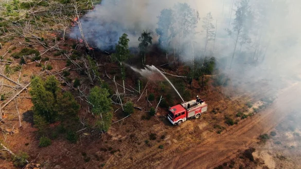 Einsatzkr&auml;fte der Feuerwehr bek&auml;mpfen in einem Waldst&uuml;ck nahe J&uuml;terbog das Feuer. - &copy; Thomas Schulz/TNN/dpa