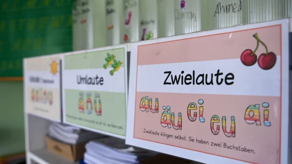 Im Deutschen die erste gelernte Sprache als Muttersprache bezeichnet. Sie schafft Vertrautheit und eine kulturelle Identit&auml;t. - &copy; Jens Kalaene/dpa