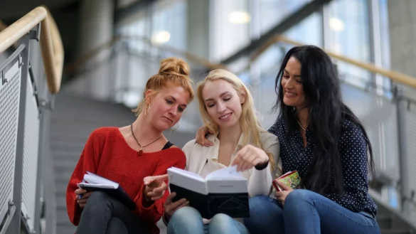 Im Nebenjob verdienen Studentinnen durchschnittlich etwas besser als m&auml;nnliche Hochsch&uuml;ler. Ihre Gehaltserwartungen nach der Uni liegen dennoch niedriger. - &copy; Markus Hibbeler/dpa-tmn