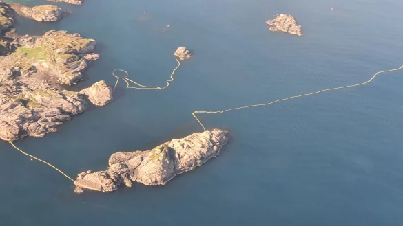 Auf den Lofoten im hohen Norden Norwegens ist ein Zwergwal ums Leben gekommen. - &copy; WDC/dpa