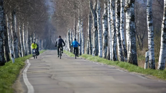Radfahrer sind im baden-w&uuml;rttembergischen Pfrungen unterwegs. - &copy; Thomas Warnack/dpa