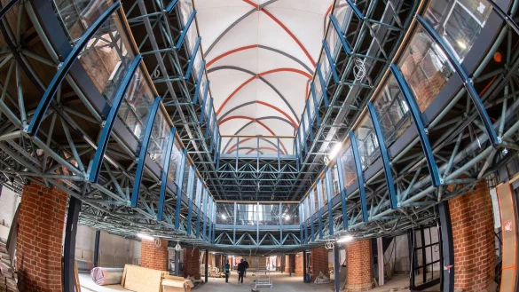 Das Meeresmuseum in Stralsund wird derzeit aufwendig modernisiert. - &copy; Stefan Sauer/dpa