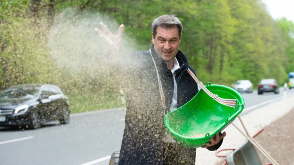 Bayerns Ministerpr&auml;sident Markus S&ouml;der bringt Saatgut f&uuml;r einen &laquo;Bienen-Highway&raquo; in Schwaig bei N&uuml;rnberg aus. - &copy; Timm Schamberger/dpa