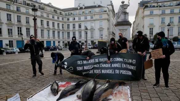 Protestierende dr&auml;ngen auf sicherere Praktiken in der Fischereiindustrie, damit Delfine besser vor t&ouml;dlichen Fischernetzen gesch&uuml;tzt werden. - &copy; Christophe Ena/AP/dpa