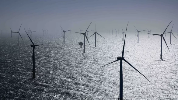 In den Niederlanden stehen Windr&auml;der zum Schutz von Zugv&ouml;geln still. - &copy; Christian Charisius/dpa