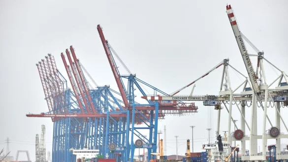 Blaue und wei&szlig;e Kr&auml;ne stehen am Hafenterminal Tollerort. Das Hamburger Hafenterminal Tollerort, an dem sich Chinesen beteiligen wollen, ist inzwischen als kritische Infrastruktur registriert. - &copy; Georg Wendt/dpa