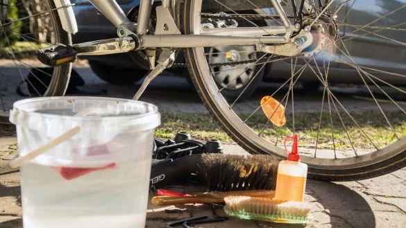 Frühlingserwachen: Bevor es auf die erste große Tour des Jahres geht, gönnen Radfahrerinnen und Radfahrer dem Drahtesel besser ein wenig Aufmerksamkeit. - © Christin Klose/dpa-tmn