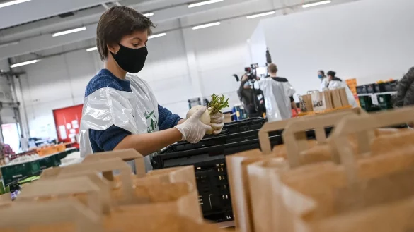 Von Fundraising bis Anpacken vor Ort: NGOs bieten ein breites Spektrum an Arbeitsfeldern. - &copy; Britta Pedersen/dpa-Zentralbild/dpa-tmn