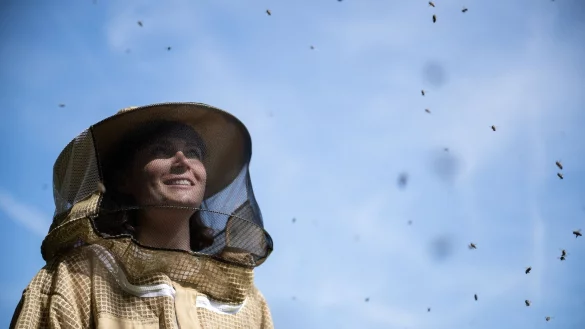 Immer mehr Frauen imkern - so auch Lilian Hurth. - &copy; Sebastian Gollnow/dpa