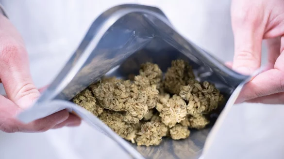 Medizinalcannabis liegt bei der Cansativa GmbH in einer Verpackung. - &copy; Sebastian Gollnow/dpa